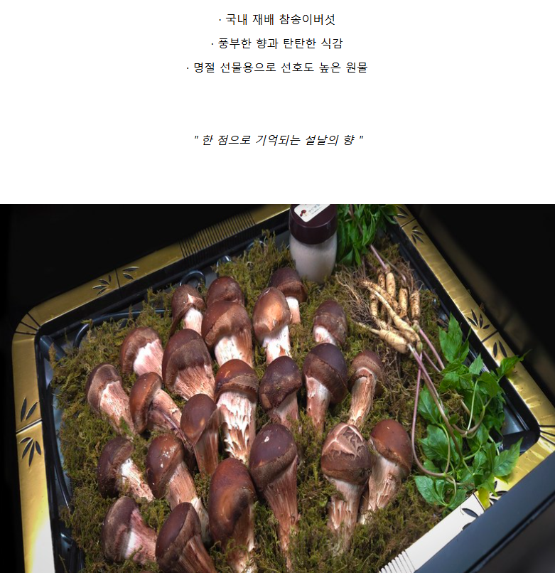 F120260123143618.png