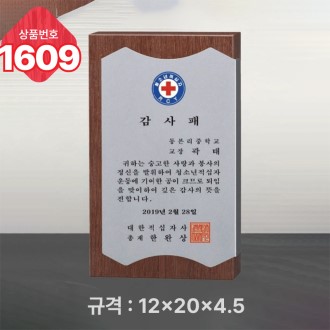 �Ϲ� ���� 1609
